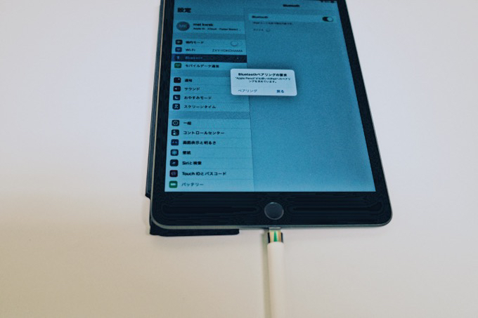 Apple Pencil（第1世代）レビュー】iPad mini5とのコンビは紙とペンを 